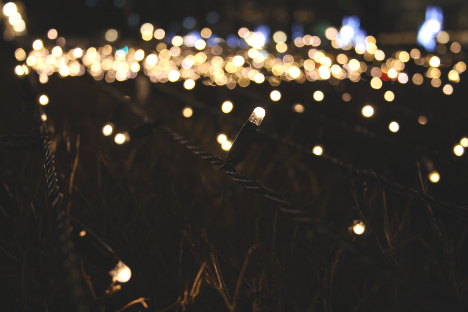 twinkelende lichtjes