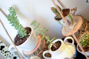 vintage servies cactus plant diy