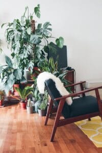 avontuurlijk interieur