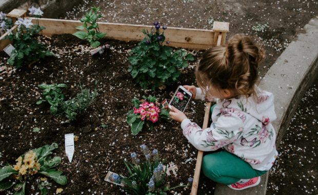 buitenplanten