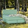 Bed in een bos